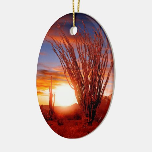 砂漠のOcotilloのソノラアリゾナ セラミックオーナメント (左)