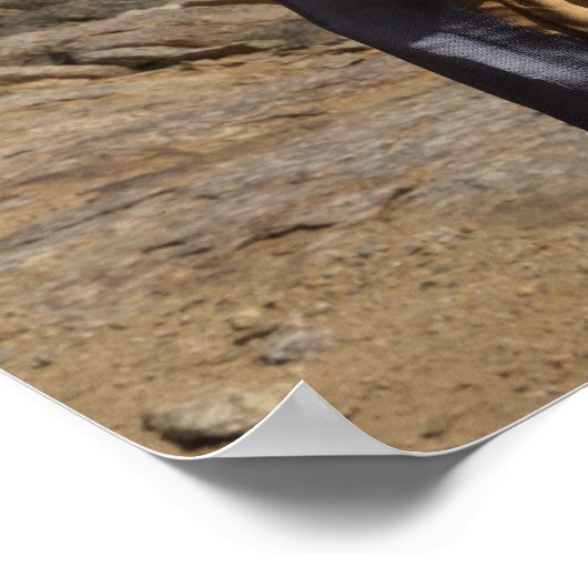 砂漠を横断するファンタジーポスタープリント ポスター (角)