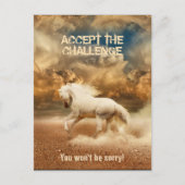 砂漠を横断するホワイトワイルドホース – 収集可能 ポストカード (正面)