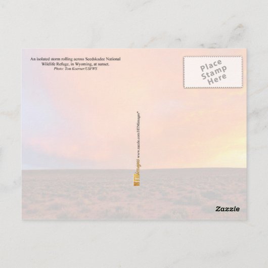 砂漠を越えた稲妻と燃え盛る夕日 ポストカード (裏面)