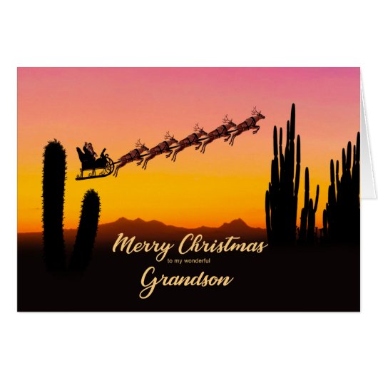 砂漠を越えるサンタの孫 (正面横)