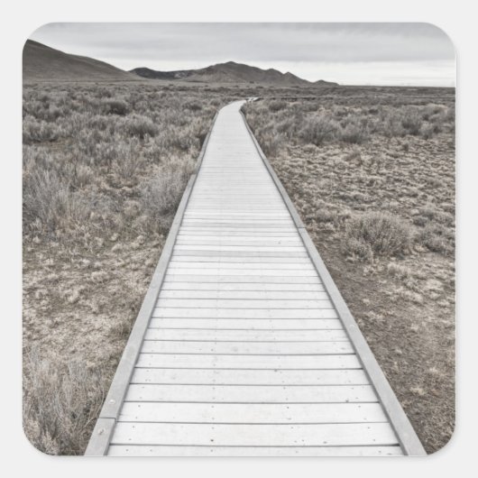 砂漠を遊歩道で歩く スクエアシール (正面)