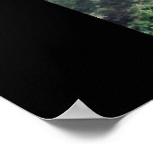 砂漠オアシス ポスター (角)