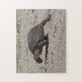 砂漠カメ ジグソーパズル (縦)