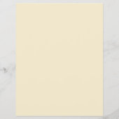 砂漠スタイルデジタルカモフラージベージュデコール チラシ (裏面)