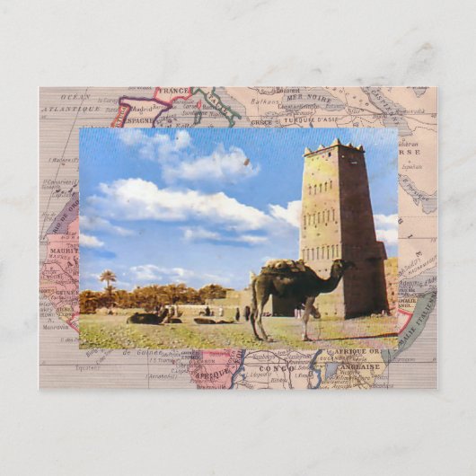 砂漠ストップにラクダ ポストカード (正面)