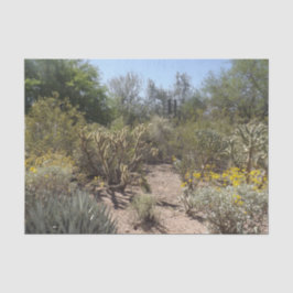 砂漠ティッシュペーパー 薄葉紙