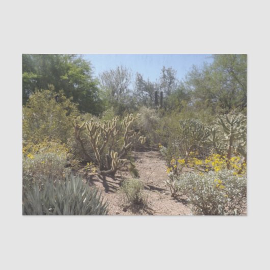 砂漠ティッシュペーパー 薄葉紙 (正面)