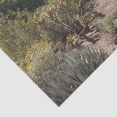 砂漠ティッシュペーパー 薄葉紙 (詳細)