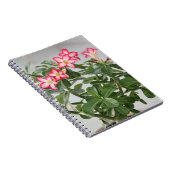 砂漠バラによっては植物が開花します ノートブック (右側)