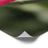 砂漠バラポスター ポスター (角)