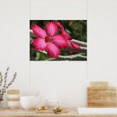 砂漠バラポスター ポスター (キッチン)