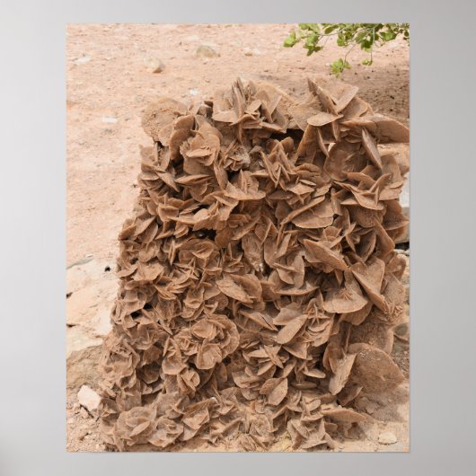 砂漠バラ。チュニジア。 ポスター (正面)