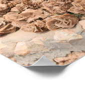 砂漠バラ。チュニジア。 ポスター (角)