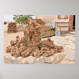 砂漠バラ。チュニジア。 ポスター