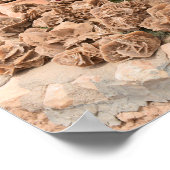 砂漠バラ。チュニジア。 ポスター (角)