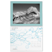 砂漠モノクロム(カレンダー) カレンダー (1月 2026)