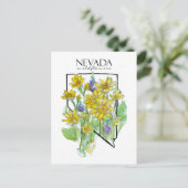 砂漠ワイルドフラワーズネバダルピネバルサムルート ポストカード (スタンド正面)