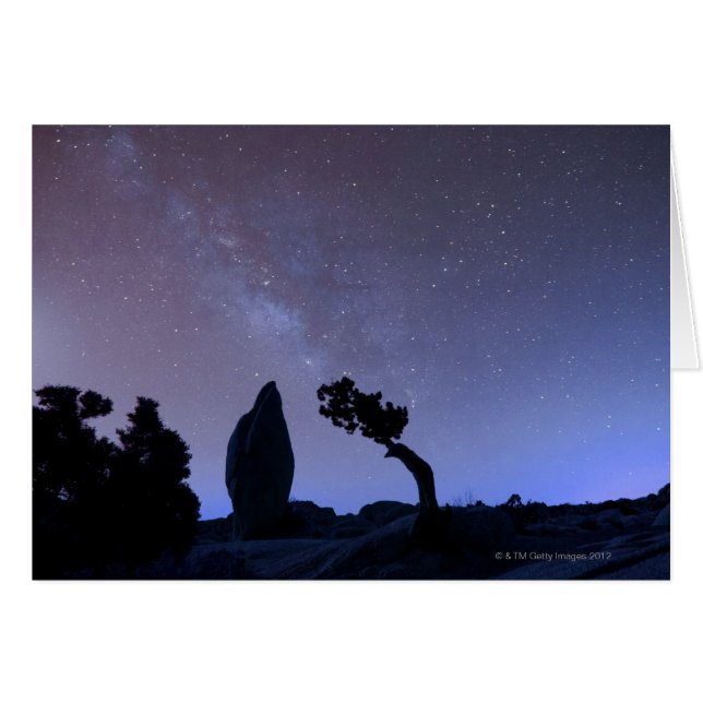 砂漠上の空の星 (正面横)