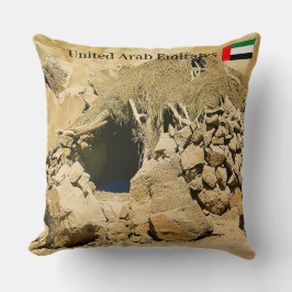 砂漠住宅 クッション