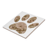 砂漠動揺して迷彩柄ドッグポープリント タイル (側面)