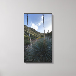 砂漠南西ソトールプラントシーニックイメージアリゾナ キャンバスプリント