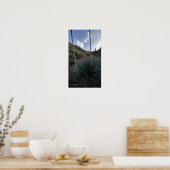 砂漠南西ソトールプラントシーニックイメージアリゾナ ポスター (キッチン)