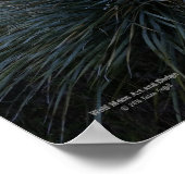 砂漠南西ソトールプラントシーニックイメージアリゾナ ポスター (角)