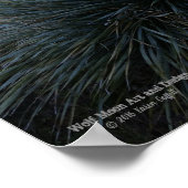 砂漠南西ソトールプラントシーニックイメージアリゾナ ポスター (角)