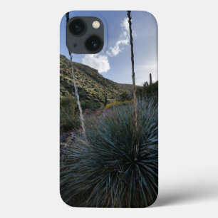 砂漠南西ソトールプラントシーニックイメージアリゾナ iPhone 13ケース