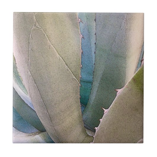 砂漠南西植物学 タイル (正面)