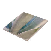 砂漠南西植物学 タイル (側面)