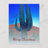 砂漠南西部サボテン写真クリスマス シーズンポストカード (正面)