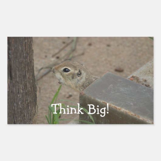 砂漠地上リスやる気を起こさせる動物 長方形シール (正面)