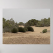 砂漠地帯1 ポスター (正面)