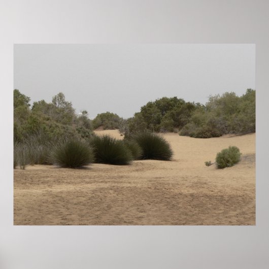 砂漠地帯1 ポスター (正面)