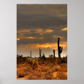 砂漠嵐 ポスター (正面)