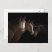 砂漠幽霊葉書 ポストカード (正面/裏面)