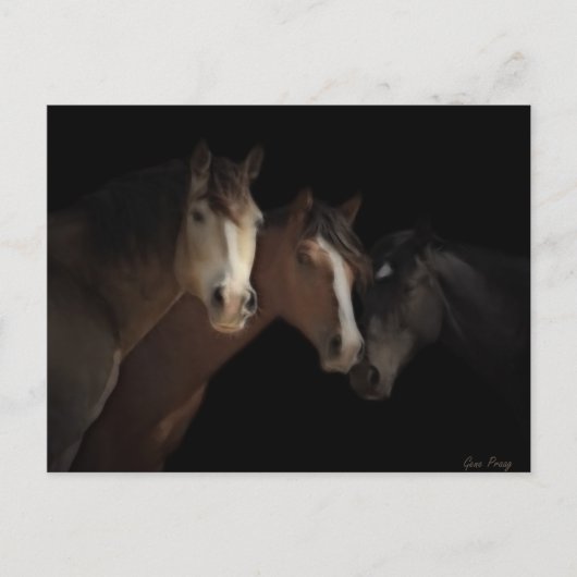 砂漠幽霊葉書 ポストカード (正面)