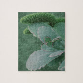 砂漠植物 ジグソーパズル (縦)