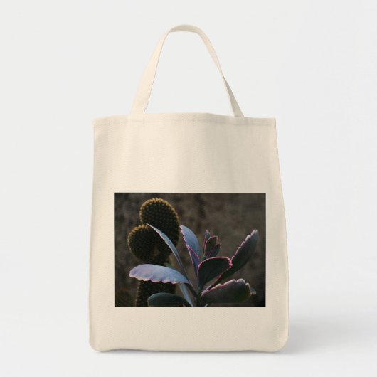 砂漠植物 トートバッグ (正面)