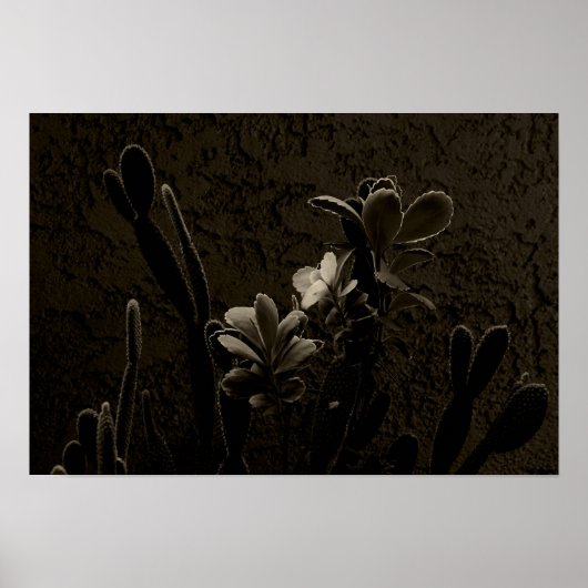 砂漠植物 ポスター (正面)