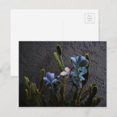 砂漠植物 ポストカード (正面/裏面)