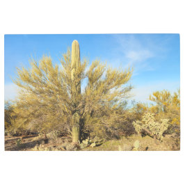 砂漠植物 メタルプリント