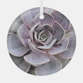 「砂漠植物/南西テーマ/多肉植物 ガラスオーナメント (正面)