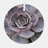 「砂漠植物/南西テーマ/多肉植物 ガラスオーナメント (裏面)