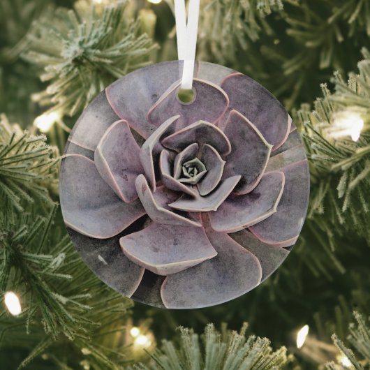 「砂漠植物/南西テーマ/多肉植物 ガラスオーナメント (インサイチュ)