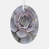 「砂漠植物/南西テーマ/多肉植物 ガラスオーナメント (正面左)