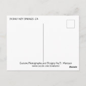 砂漠熱春#3葉書 ポストカード (裏面)