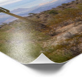 砂漠猿楽 フォトプリント            (角)